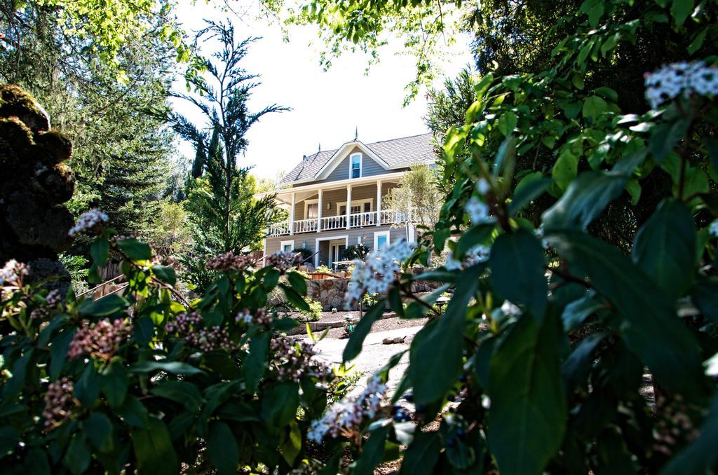 The Chanric Inn คาลิสโทกา ภายนอก รูปภาพ